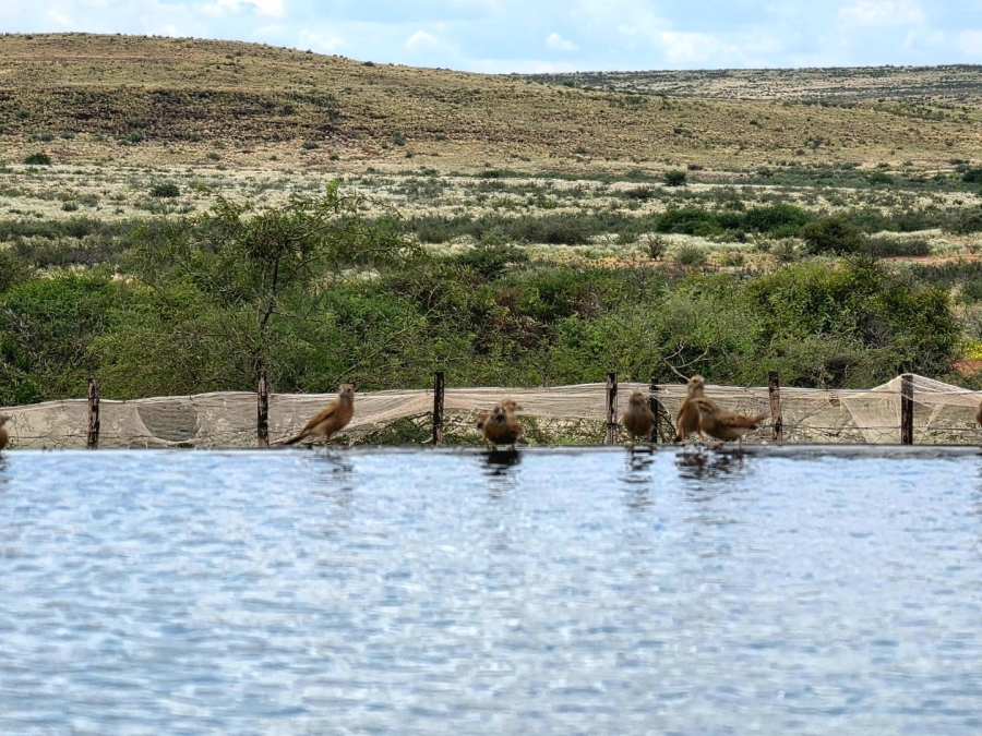 Commercial Property for Sale in Upington Rural Northern Cape